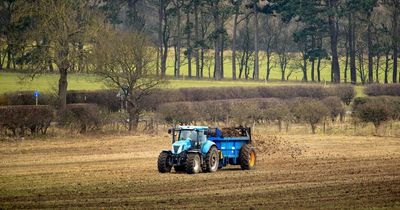 Dimbleby says new Government food plan for England is ‘not a strategy’