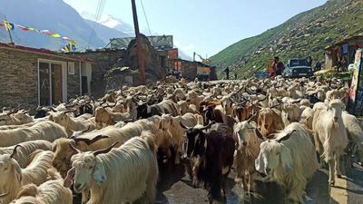 In Himachal Pradesh, people look for ‘divine mediation’ to break dry spell