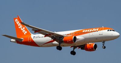 EasyJet flight makes emergency landing with 'ill pilot in toilet' after mid-air alert