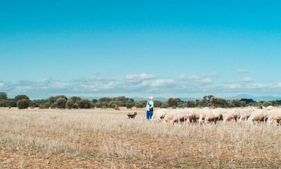 Inland review – rural Spain under the microscope in otherworldly portrait