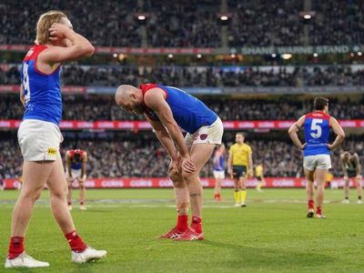 AFL turbulence didn't affect Dees: Goodwin