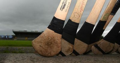 Hurley makers bemoan dire shortage of ash that could kill the sport