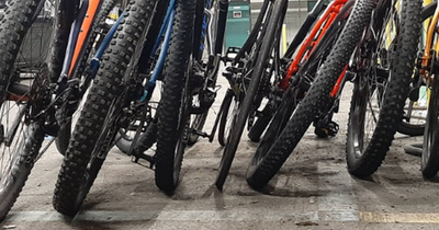 Twelve suspected stolen bikes found in house in South Belfast