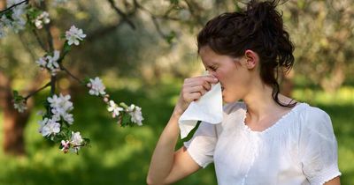 Why is hay fever so bad right now and how to combat symptoms