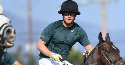 Prince Harry thrown to ground as he falls off horse in post-Jubilee polo match