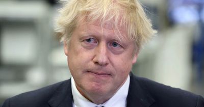 Boris Johnson says plan to amend NI Protocol is 'not a big deal'