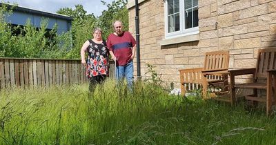 Edinburgh residents say they are 'living in slum' with 'garden like a jungle'