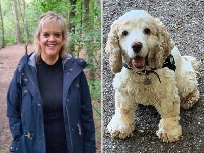 Meet the devoted animal lover who acts as ‘guide dog’ to her blind cocker spaniel