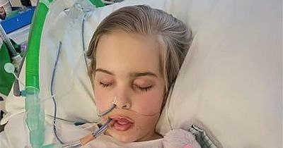 Life support for Archie Battersbee, 12, should be turned off judge rules