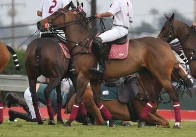 Prince Harry unhurt after falling from horse as his side lose polo clash