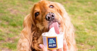 Aldi launches new £2.99 dog ice cream in delicious vanilla and apple flavours