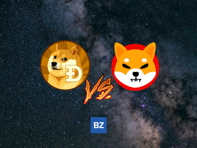 If You Had $1,000 Right Now, Would You Buy Shiba Inu Or Dogecoin?