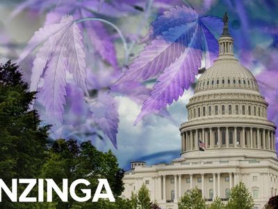 Chuck Schumer Or Nancy Mace: Whose Cannabis Legalization Bill & Which Candidates Are The Largest Weed Companies Supporting?