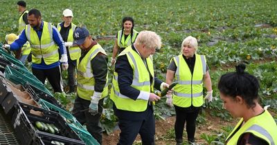 Boris Johnson defends government food strategy during Cornwall farm visit