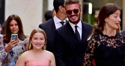 Harper Beckham grins in princess ballgown on daddy date with David in Venice