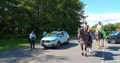 Horse powers detect near-silent electric vehicles