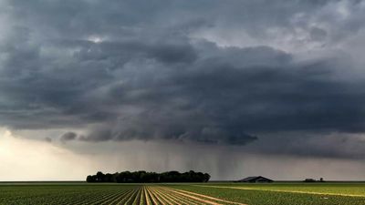 Grain Markets: Farmers Eye Weather, War as Growing Season Starts