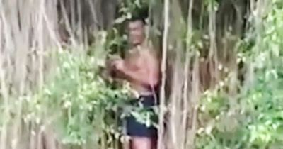 Tourist ordered to pray for forgiveness after climbing sacred tree in Bali