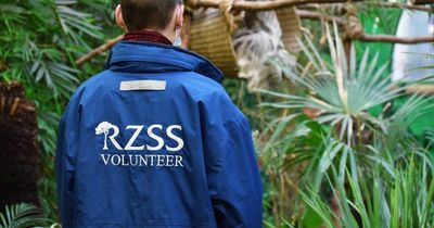 Scottish Zoo charity begins search for volunteers to come help out at its parks