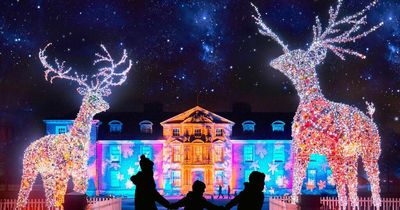 Dunham Massey's Christmas lights trail returning for 2022 with a multi-coloured laser garden