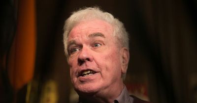 Father Peter McVerry attacked at his home after 'opening door to person looking for help'