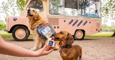 Aldi launches new ice cream range especially for dogs