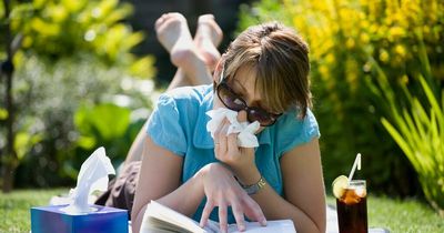 How to combat hay fever in your garden this summer