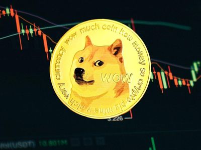 Dogecoin Continues To Fall As Elon Musk Goes Silent On The Crypto: Here's What To Watch