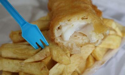 ‘Quite a few have given up’: fish and chip shops battered by rising costs