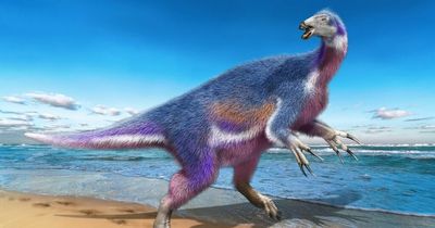 Scientists excited by discovery of 'Edward Scissorhands' dinosaur with fearsome claws