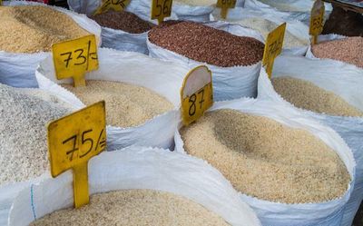 Tackling the crisis of rising global food prices