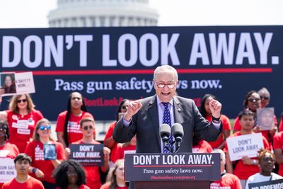 Key senators want gun overhaul bill written this week - Roll Call