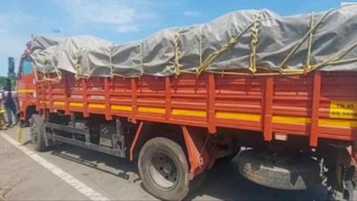 Tamil Nadu: Girl dozes off & falls from bike, run over by truck