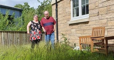 Resident blasts neglected 'jungle' garden for making flats look like a 'slum'