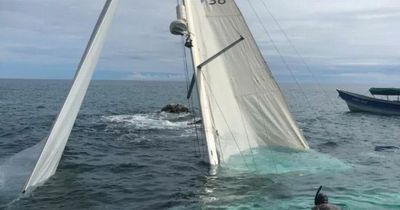 Horror as sailor falls overboard in shark-infested waters and swims 10 miles in dark