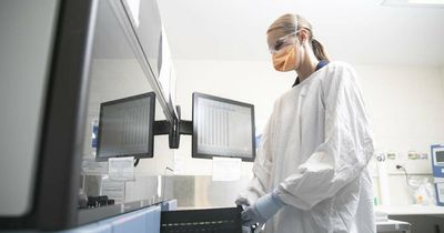 Equal-record day for COVID hospitalisations while cases fall