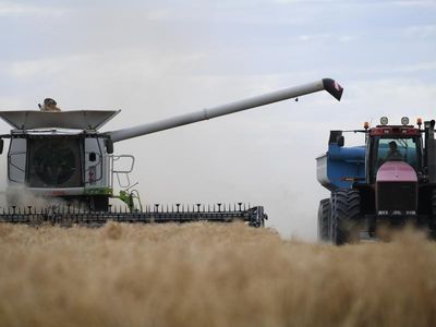 Farmer confidence wanes