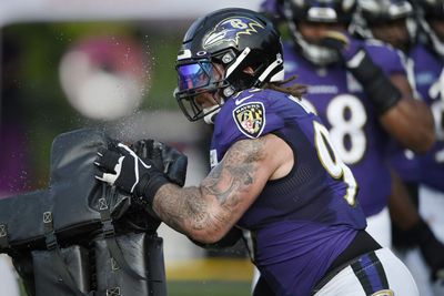 Ravens DL Derek Wolfe has second hip surgery of 2022