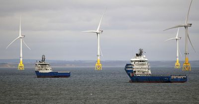 More work in amusement parks than on wind farms as trade unions declare UK missing out in 'green revolution'