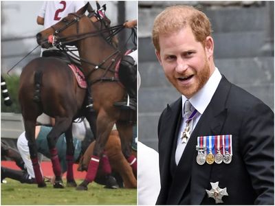 Prince Harry falls off his horse during a polo match in California