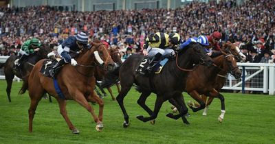 Ascot on Tuesday: Tips and runners for every race including the King's Stand Stakes