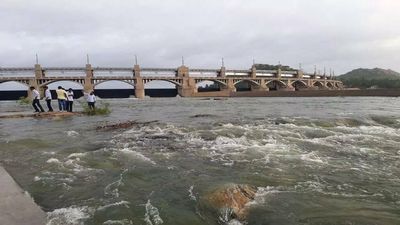 Cauvery Water Management Authority has to decide on Mekedatu project, says solicitor general Tushar Mehta