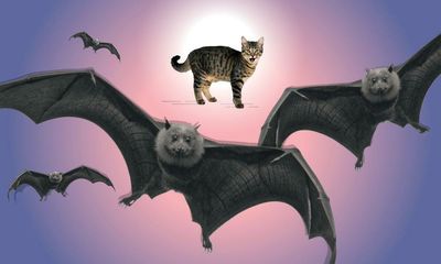 Murderous moggies: should we be locking up our cats at night?