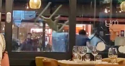 Terrified diners huddle inside restaurant while brawlers bash each other with chairs
