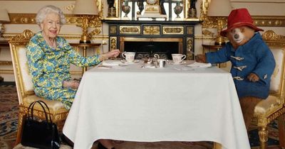 Paddington 3 title reveal and director - all we know about sequel after Queen sketch