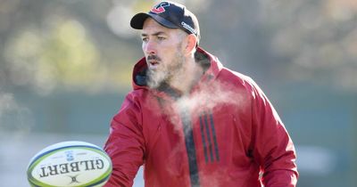 Leinster turn to Crusaders' backs coach Andrew Goodman to replace Felipe Contepomi