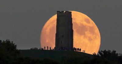 Strawberry Moon - what time does it peak and other full moon dates this year