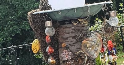 Massive swarm of bees appears in woman's garden as family scared to leave home