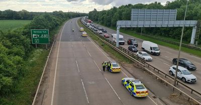 Woman dies after car crashes off A50 and hits tree