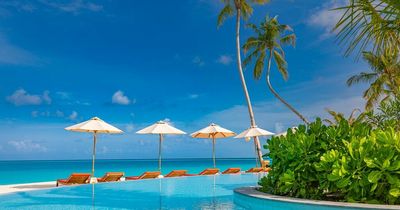 Woman's A Place in the Sun application goes viral for 'misunderstanding' the show